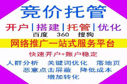 行业内的SEM竞价代运营公司优秀案例剖析